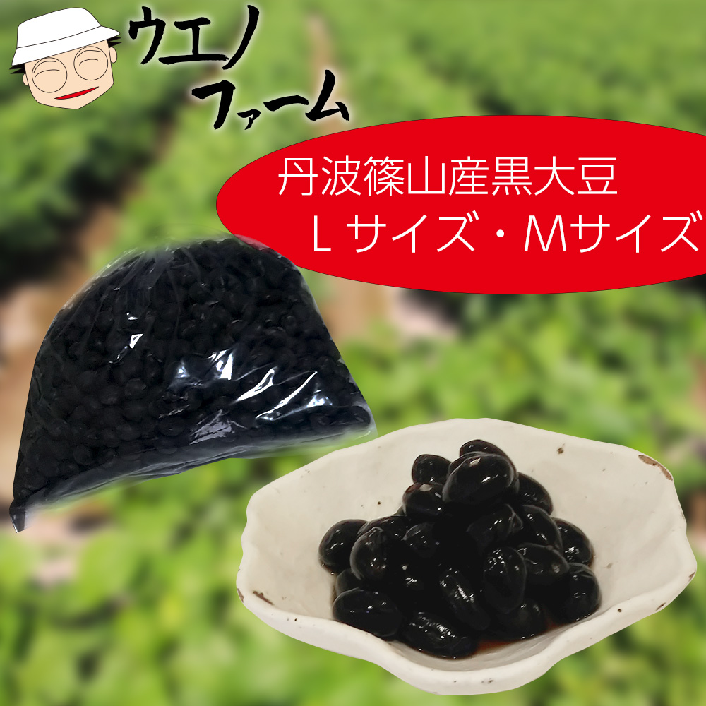 令和5年収穫 岐阜県産 丹波黒豆 訳あり 1kg - 野菜